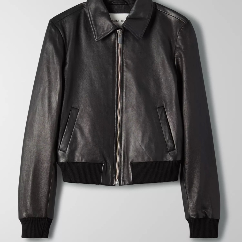 Aritzia Babaton Lou Leather Jacket
